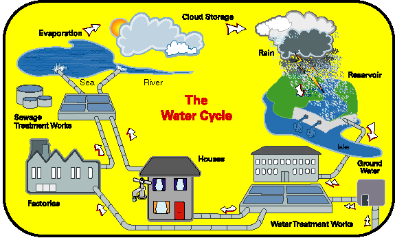 water cycle for kids. water cycle jpg